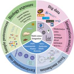 Multi-omics integration analysis: Tools and applications in environmental toxicology☆