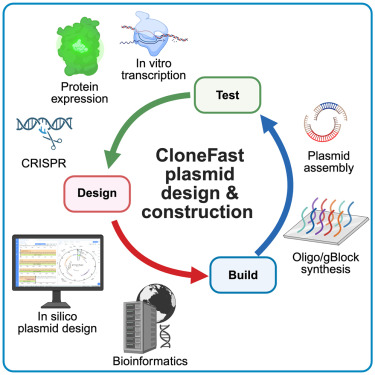 CloneFast: A simple plasmid design and construction guide for labs venturing into synthetic biology