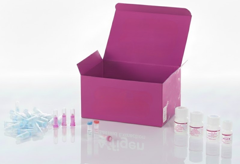 [1054-iCell-h612] Células de cáncer de mama humano [células HCC1395] – 1x 10^6 células